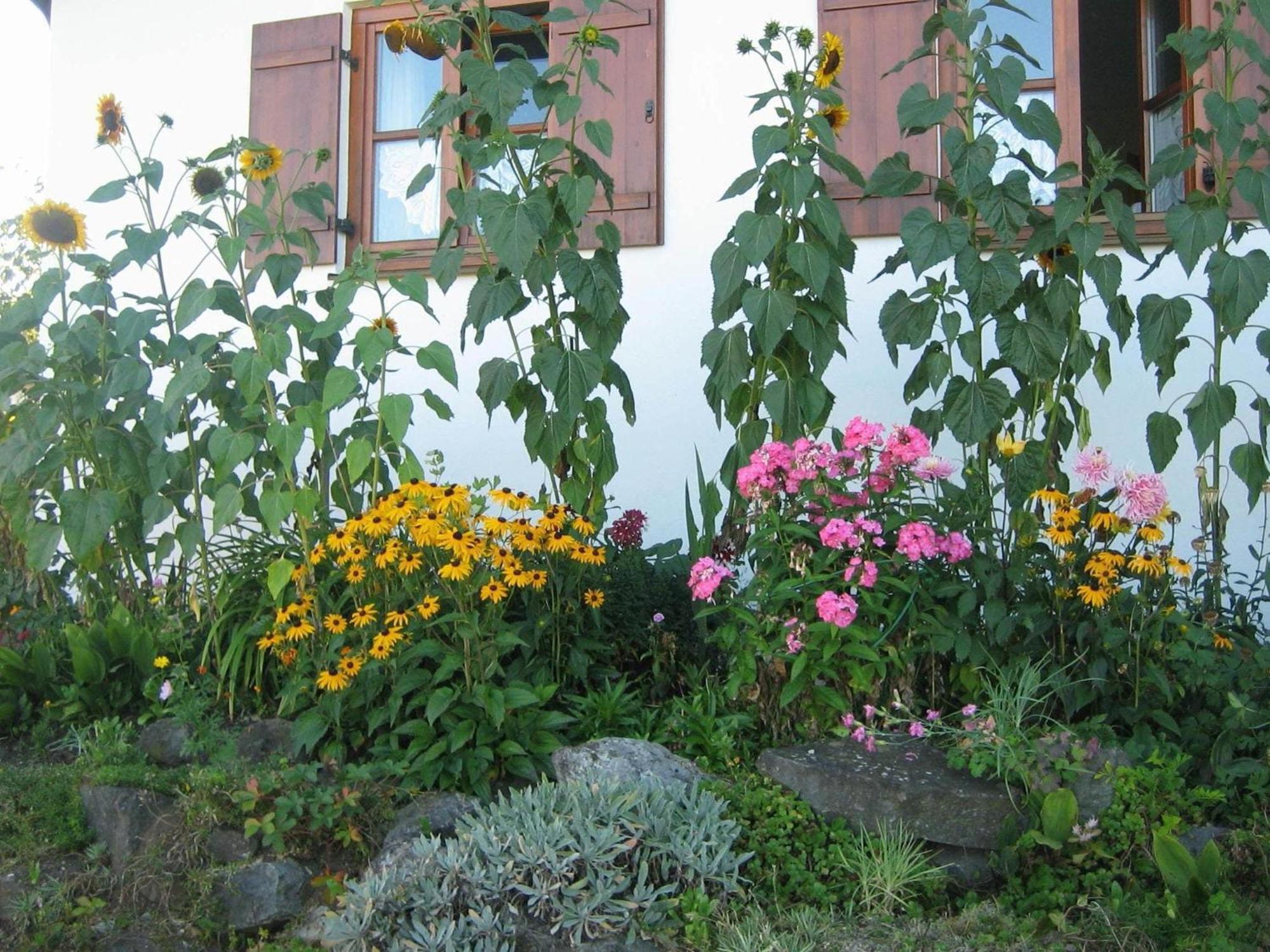 Apartment In The Allg U With View Of The Bavarian Alps Bernbeuren Exteriér fotografie
